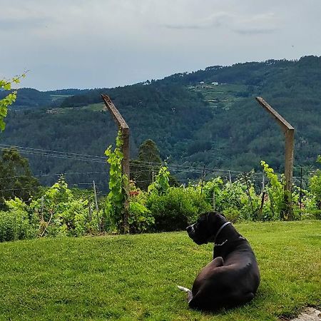 فيلا Casa Da Vina - Ribeira Sacra Nogueira De Ramuin المظهر الخارجي الصورة