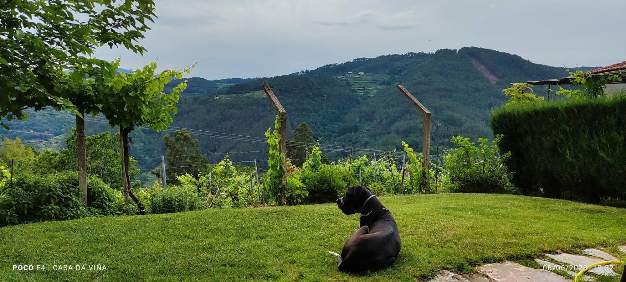 فيلا Casa Da Vina - Ribeira Sacra Nogueira De Ramuin المظهر الخارجي الصورة