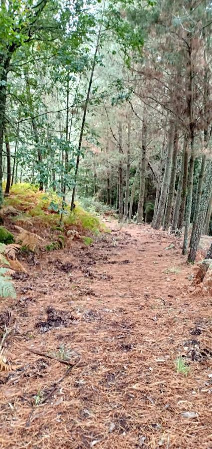 فيلا Casa Da Vina - Ribeira Sacra Nogueira De Ramuin المظهر الخارجي الصورة