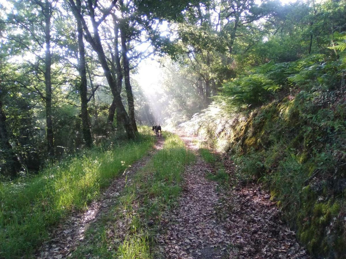 فيلا Casa Da Vina - Ribeira Sacra Nogueira De Ramuin المظهر الخارجي الصورة