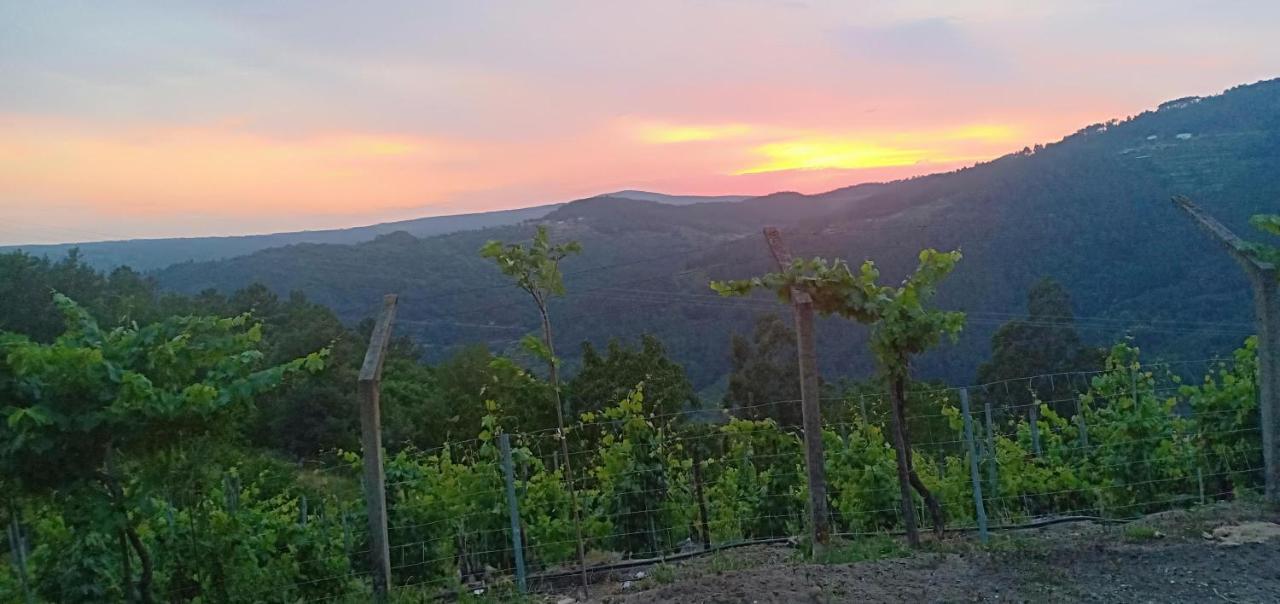 فيلا Casa Da Vina - Ribeira Sacra Nogueira De Ramuin المظهر الخارجي الصورة