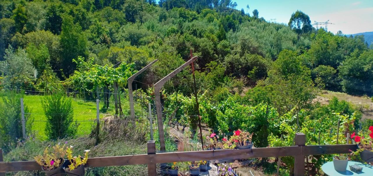 فيلا Casa Da Vina - Ribeira Sacra Nogueira De Ramuin المظهر الخارجي الصورة